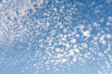 Fototapeta na wymiar Blue sky and white clouds.