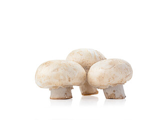 fresh wihte mushroom isolated on white