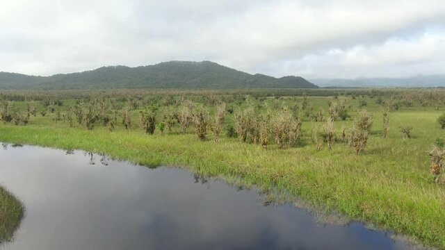Drone sobre pantanos e brejos / Drone over swamps and wetlands