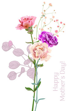 Vertical Mother's Day, Victory Day card with carnation: red, pink, flowers, twigs gypsophile, white background. Templates for design, vintage botanical illustration in watercolor style, vector