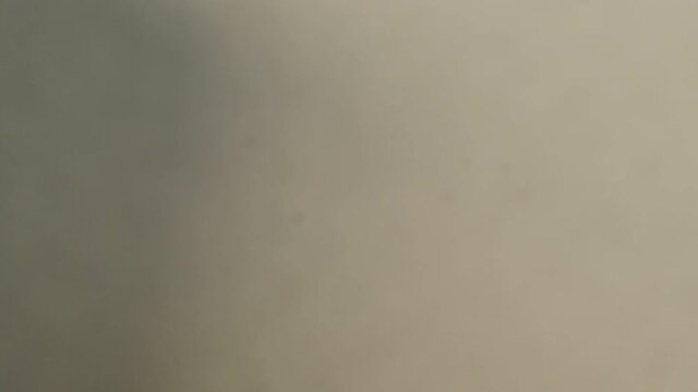 Falling Roasted Coffee Beans on Gradient grey background in Slow motion .