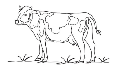 Fototapeta na wymiar Cow, farm animal line icon.Black silhouette cow isolated on white. Hand drawn vector illustration.