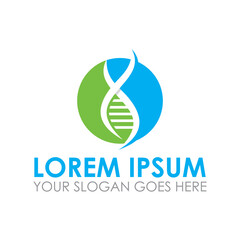 dna vector , genetic logo vector