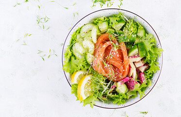 Ketogenic diet breakfast. Salt salmon salad with greens, cucumbers, celery and watermelon radish. Keto, paleo lunch. Top view, above