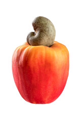 Cashew fruit on white background for cutout