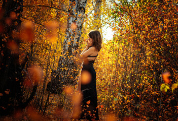 woman in the sunset, woman in the forest, a girl walks in the golden autumn forest, a girl walks in the autumn park, a woman in the autumn park, woman, autumn, young, nature, park, beauty, beautiful