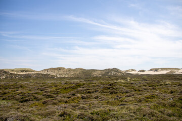 Sylt