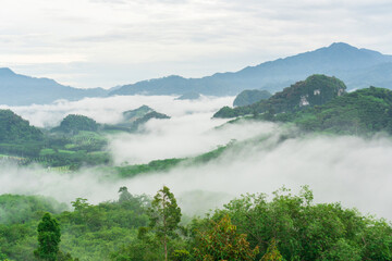 Fototapeta na wymiar Sea of mist on the mountain in the morning.