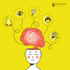 Five senses graphic illustration