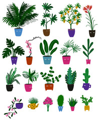Collection of indoor plants with funny face pots