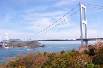 来島海峡大橋と桜　愛媛県今治市糸山公園　2021年3月27日