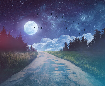 old dark night road through forest and starry sky