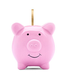 coin finance saving money piggybank business investment banking piggy bank pig wealth