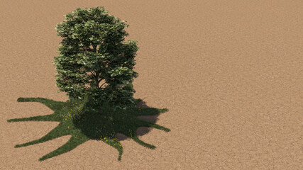 Small Grassy Area with a Single Tree in the Middle of a Barren Land 3D Rendering