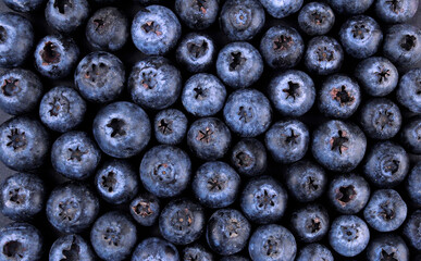 Blueberry background. Fresh berry on black background