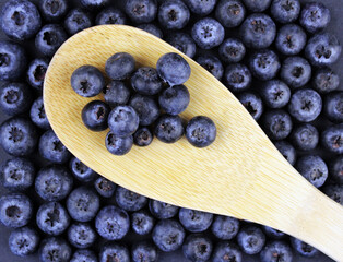 Fresh blueberries on a wooden big spoon on a background of blueberries