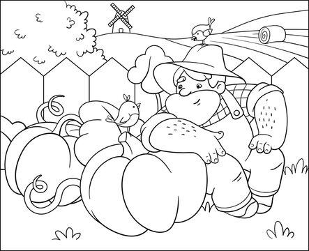 Friendly farmer wearing a straw hat resting next to pumpkins. A big bearded man makes friends with small birds. Rest in countryside. Eco living. Coloring book for children. Cartoon vector illustration