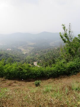 Kodagu Bilder Durchsuchen 1,065 Archivfotos, und