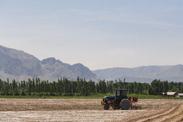 Obraz premium Three-wheeled tractor on farms in Central Asia. planting melons. Former republics of the USSR. Spring planting in agriculture. Uzbekistan. Ferghana Valley.