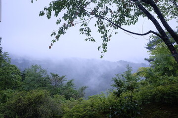 mountain