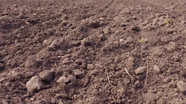 Arable land. Preparing field for planting. Plowed soil in spring time . Agricultural work.