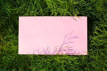 Mock up with green leaves. Pink frame blank paper on green leaf. flat lay or top view with copy space for massag.  saving environment Earth Day, conservation, forest day, card for world earth concept.