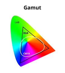 Foto op Aluminium Vector illustration of simplified cmyk, rgb and lab gamut isolated on white. Difference between cmyk and rgb color space in a lab or CIELAB color space. Color theory, 2D diagram with a color gradient. © petrroudny