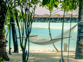  Tropical beach in Maldives with relaxing hammock