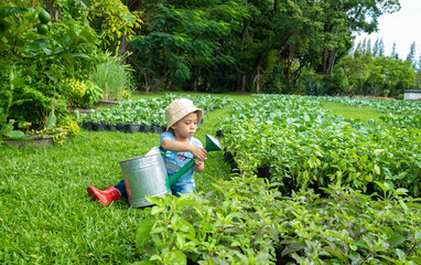Naklejka na ściany i meble asian kid in a farmer dress growing some green sprout plants
