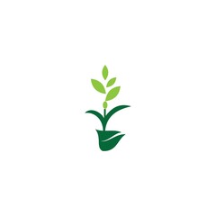 plant tree green leaf logo