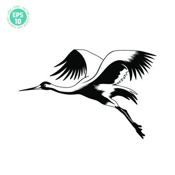 beautiful crane bird vector illustration