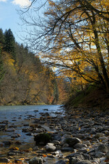 autumn foliage on the river, austria