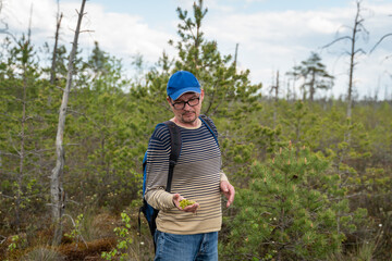 A man with a backpack holds sphagnum moss in his hand. A tourist is studying the vegetation of the...