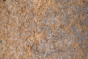 Sawdust background. Colorful background of cut trees