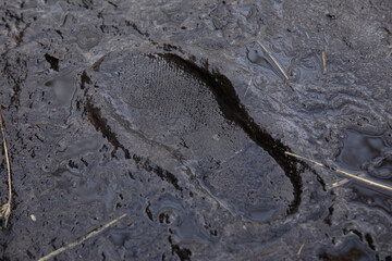 A large footprint from a man's shoe in the mud. The footprint of the boot. Autumn mud