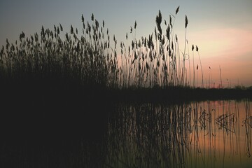 Natural gravel lake. Photographed at sunset.