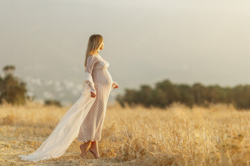 Fototapeta na wymiar beautiful happy pregnant woman in the summer field nature meadow with in sunset