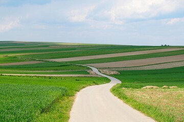 Beautiful fields in colorful stripes illuminated by the sun and a winding road between the fields around Suloszowa, Jura region, Cracow-Czestochowa Upland, Silesia, Poland
