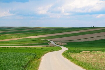 Beautiful fields in colorful stripes illuminated by the sun and a winding road between the fields around Suloszowa, Jura region, Cracow-Czestochowa Upland, Silesia, Poland