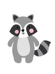 raccoon