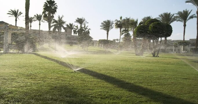 Lawn watering working in sunset garden. Automatic fan irrigation system for green grass in parks, resorts. Beautiful garden with lush bushes, palm trees. Sprinkling water drops maintaining juicy lawn