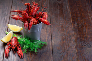 Crayfishes in metal bucket served with dill and lemon, dark wooden background, horizontal, copy space