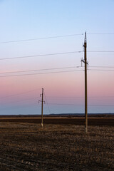 Fototapeta na wymiar power lines in the field in the rays of the setting sun