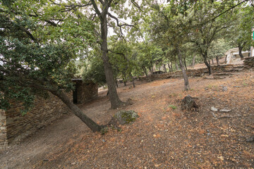 Picnic area in Sierra Nevada