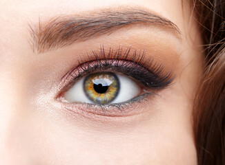 Obraz premium Closeup macro shot of human female eye with pink eyes shadows