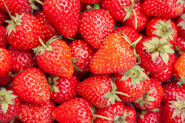 Fresh strawberry fruit , Close up