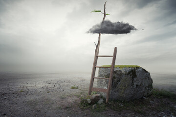 Surrealistic image with ladder to the heaven and cloud