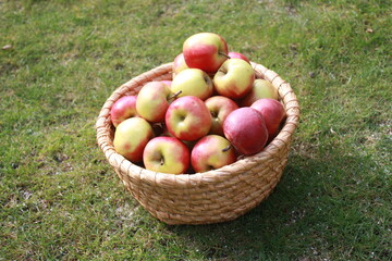 fresh apples in a basket