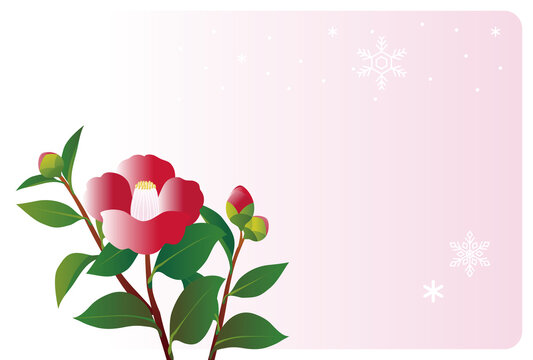 雪椿 の画像 28 629 件の Stock 写真 ベクターおよびビデオ Adobe Stock