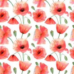 Seamless watercolor pattern pattern with poppy flower. Botanical illustration with red summer flowers, green bud